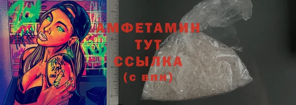 шишки Балахна