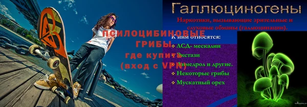 шишки Балахна